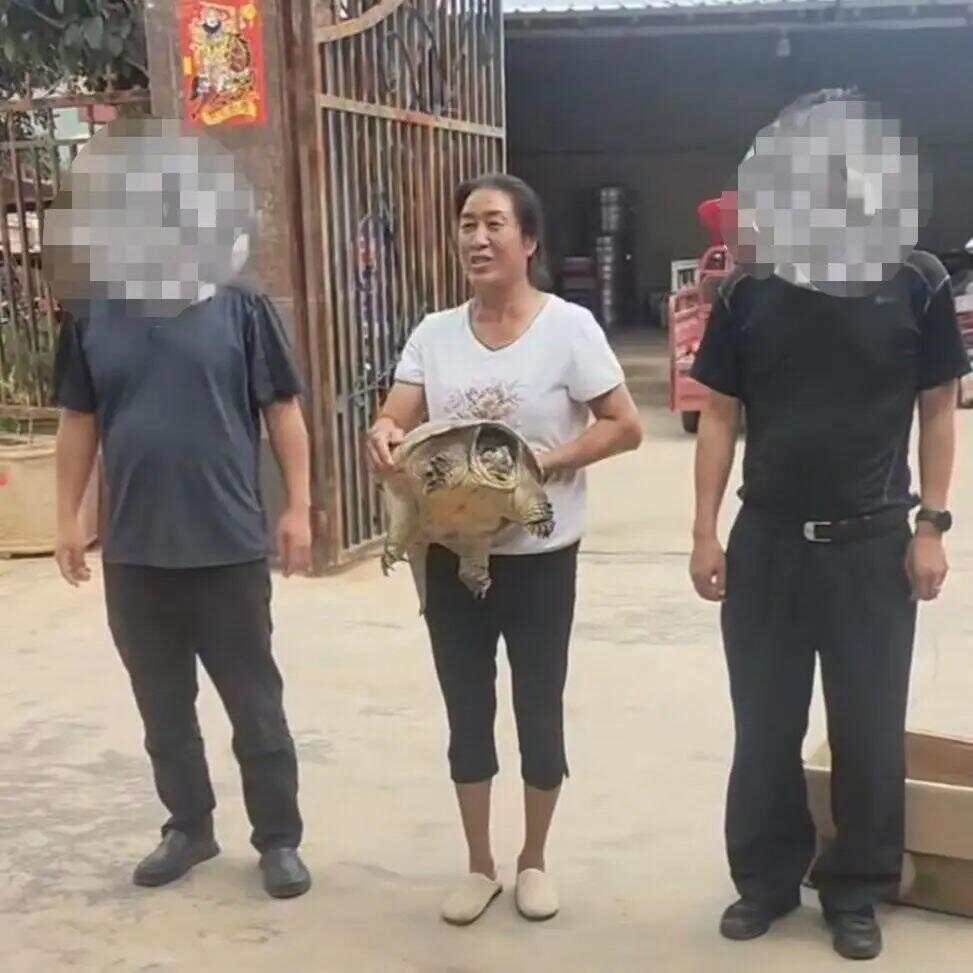 第252页