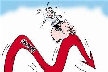 第239页
