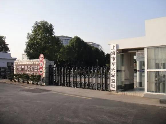 杨柳在福建沿海登陆杨柳在福建沿海登陆，自然之美与生态价值的交融